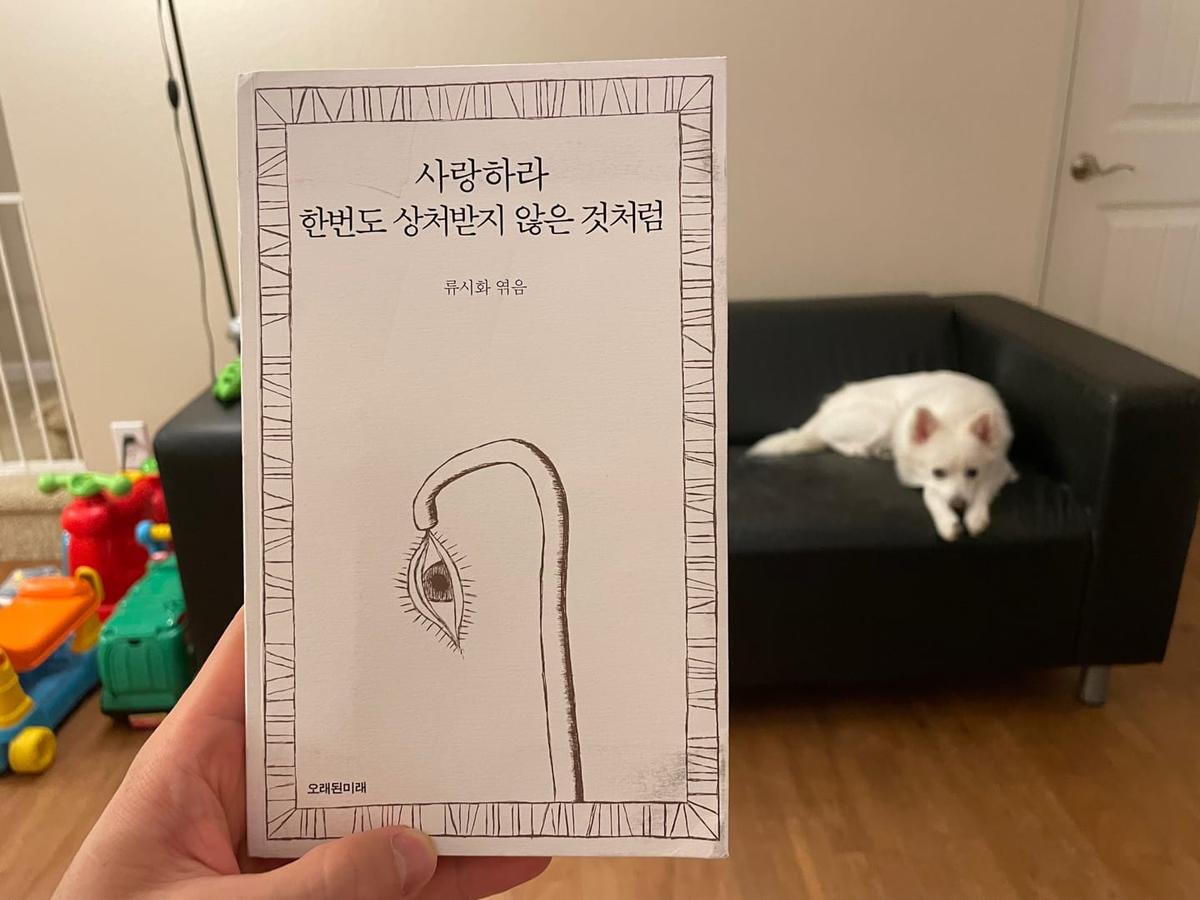『사랑하라, 한번도 상처받지 않은 것처럼』 책 표지